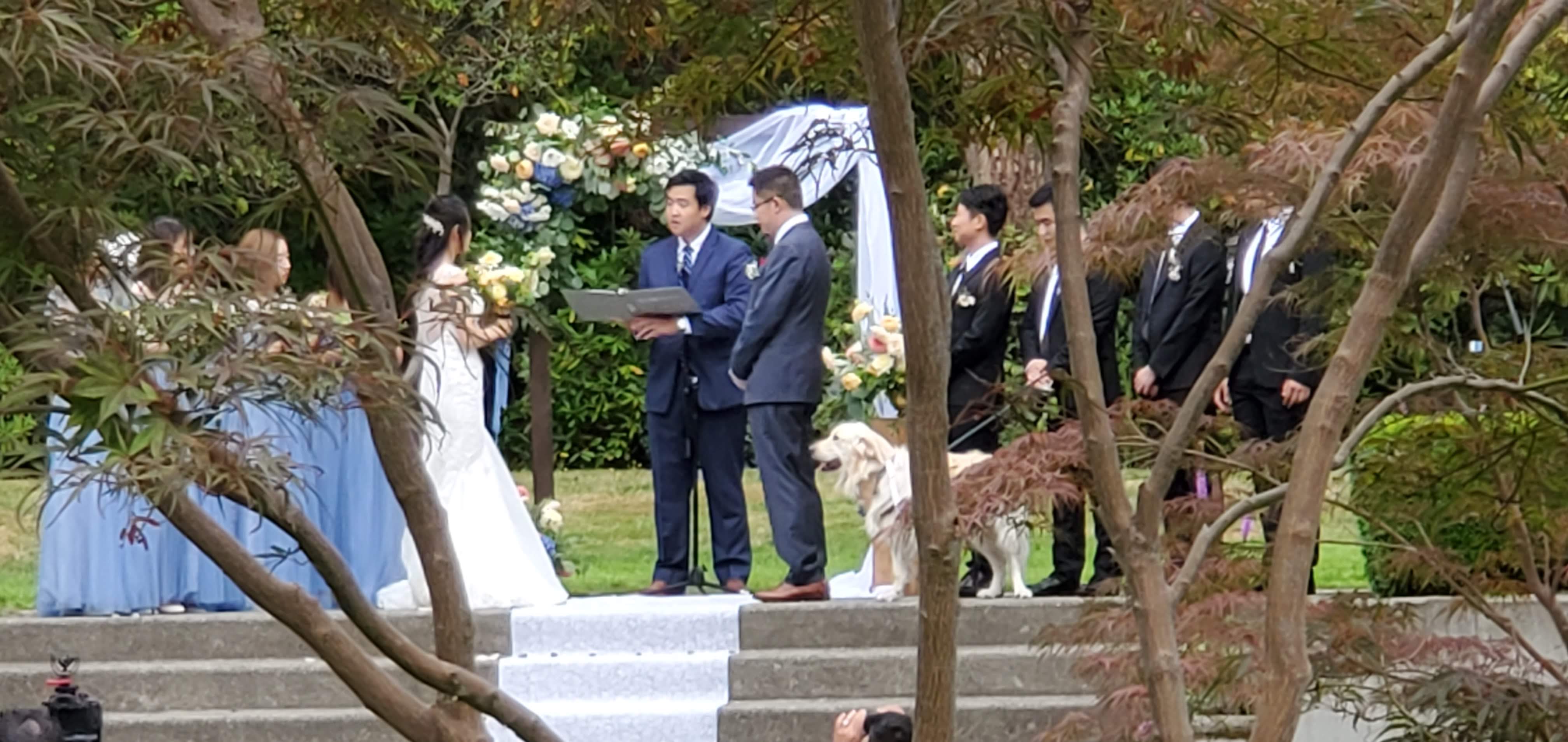 Wedding ceremony with tree in front